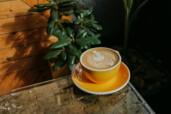 Top 10 berets en ligne : style et qualité à portée de main